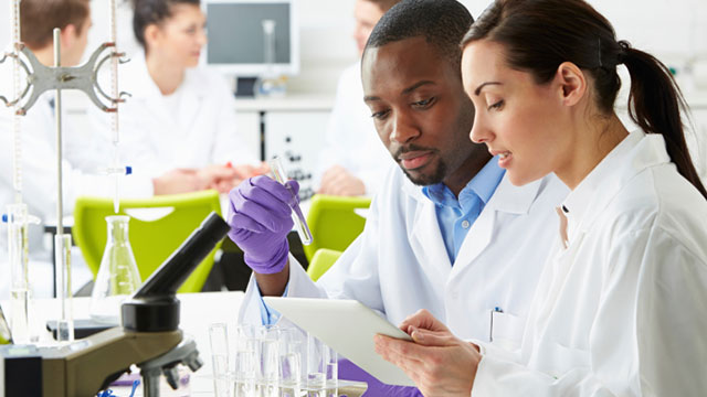Laboratory Services